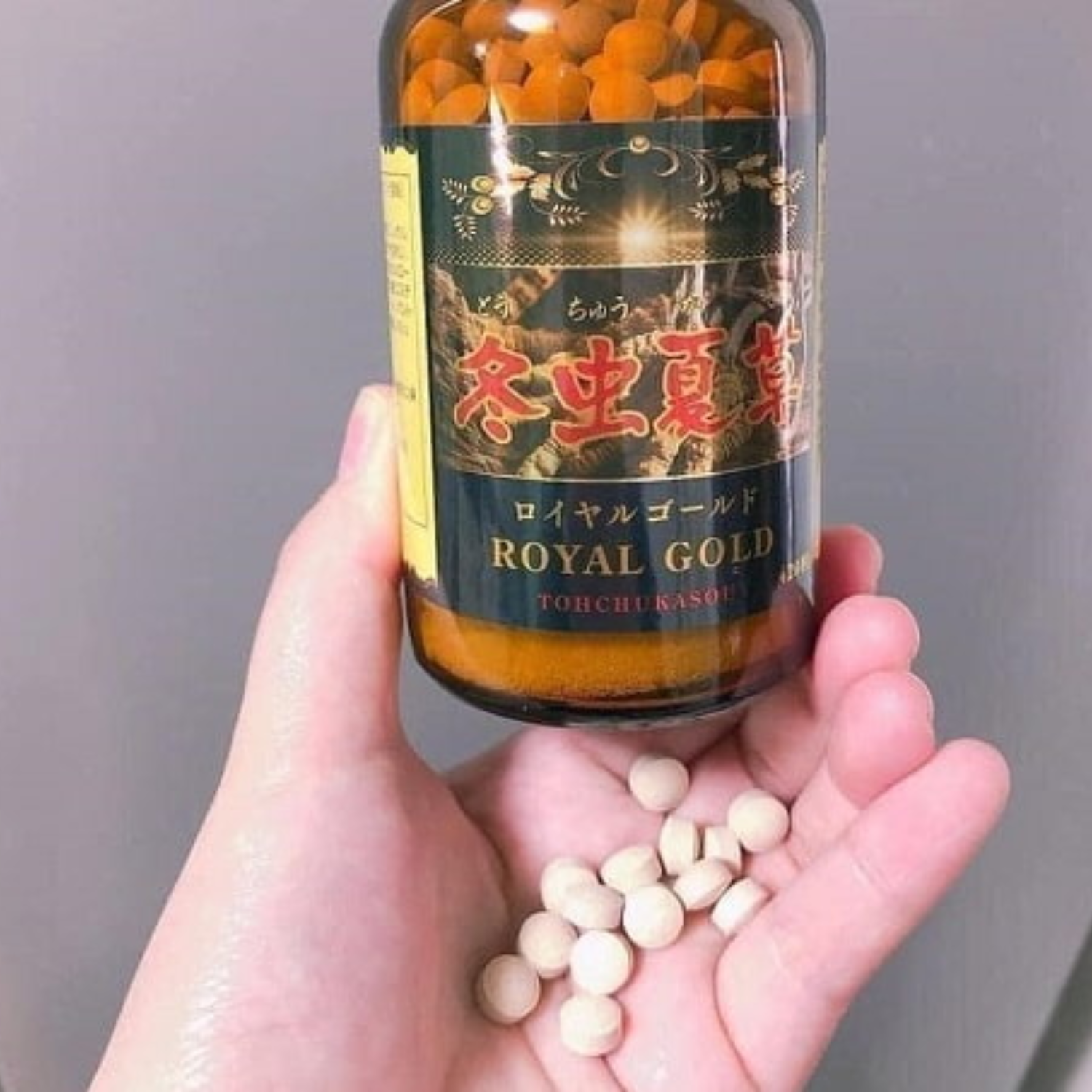 Royal gold tohchukasou cordyceps capsules | 420 capsules