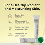 Cnp Laboratory Propolis Ampule Active Shot Special Cream Set 50ml + 50ml - Lili Beauty
