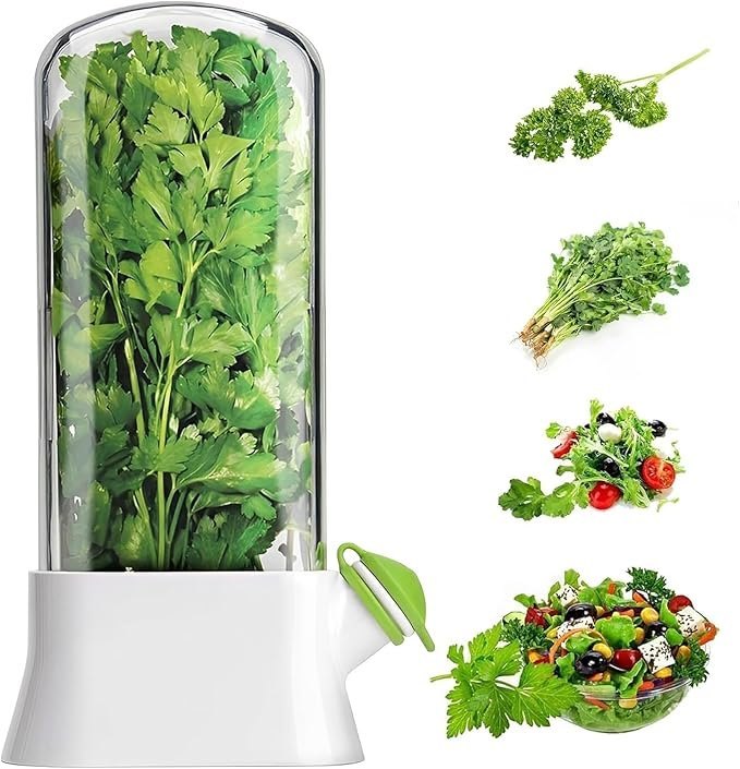 Herb Saver Reusable Fresh Vegetable & Spice Storage Container with Flip-Top Lid