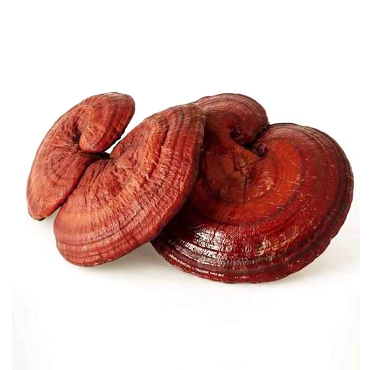 Korean red sclied ganoderma lucidum mushroom 500g - Lili Beauty