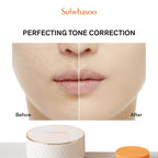 Sulwhasoo Perfecting Powder 20g 21N Beige - Lili Beauty