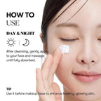 Vt Pdrn Cream Elasticity & Moisture Care 50ml - Lili Beauty