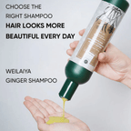 Weilaiya ginger shampoo & conditioner set for hair & hair growth [ for oily hair ] - Lili Beauty