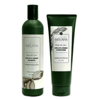 Weilaiya ginger shampoo & conditioner set for hair & hair growth [ for oily hair ] - Lili Beauty