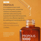 Wellderma Propolis 1000 Energy Ampoule 50ml - Lili Beauty